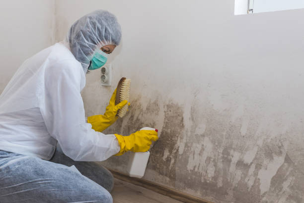 Best Mold Removal Process  in Ranger, TX