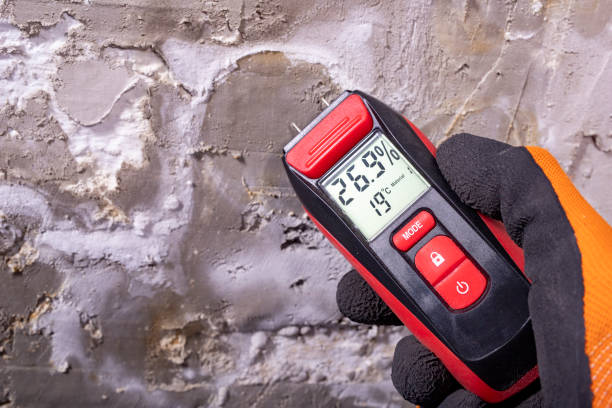 Office Mold Removal Services in Ranger, TX