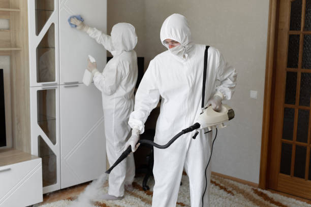 Attic Mold Removal in Ranger, TX