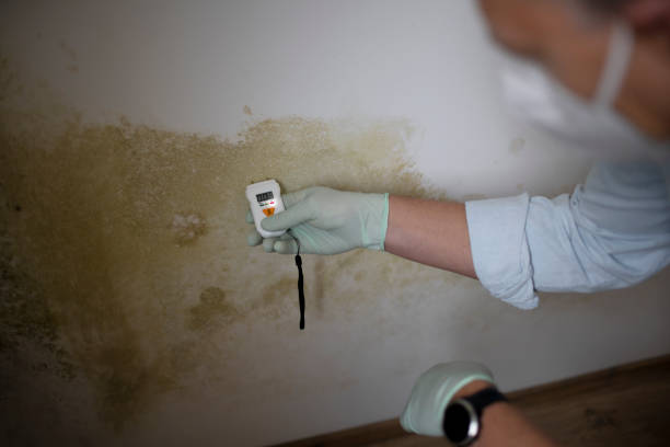 Best Emergency Mold Removal  in Ranger, TX
