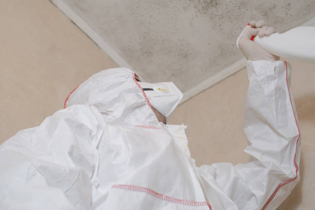 Best Mold Testing  in Ranger, TX