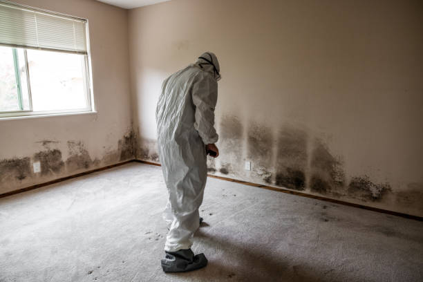 Best Mold Testing  in Ranger, TX