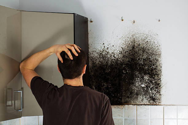 Best Mold Cleaning Services  in Ranger, TX